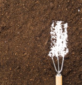 top view gardening tool soil