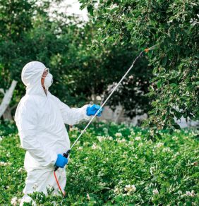 worker sprays organic pesticides plants 544249 336